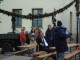 Thumbs/tn_PolizeirufRosentod-121.jpg
