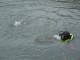 Thumbs/tn_PolizeirufRosentod-141.jpg